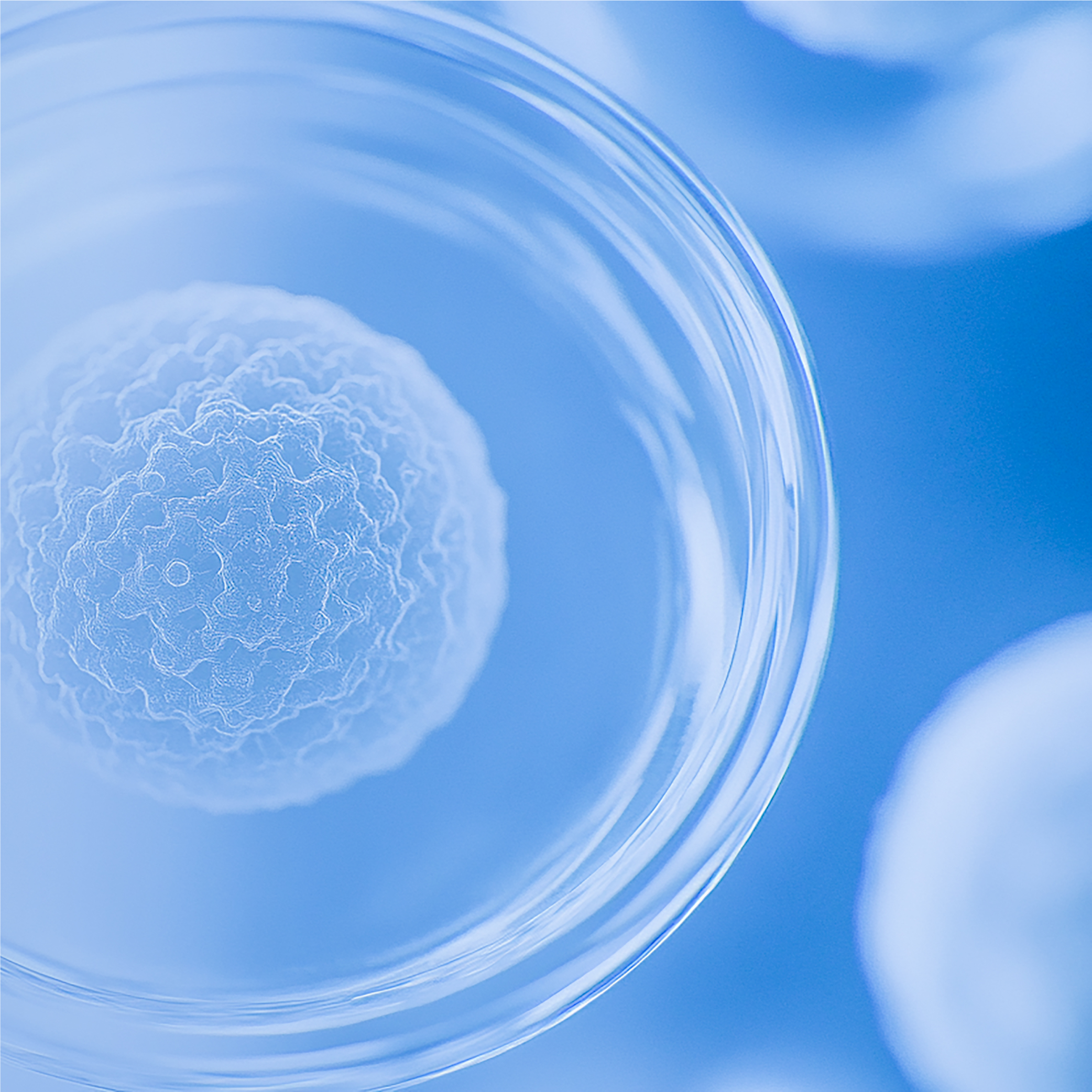 YFBeads™抗生物素分选磁珠