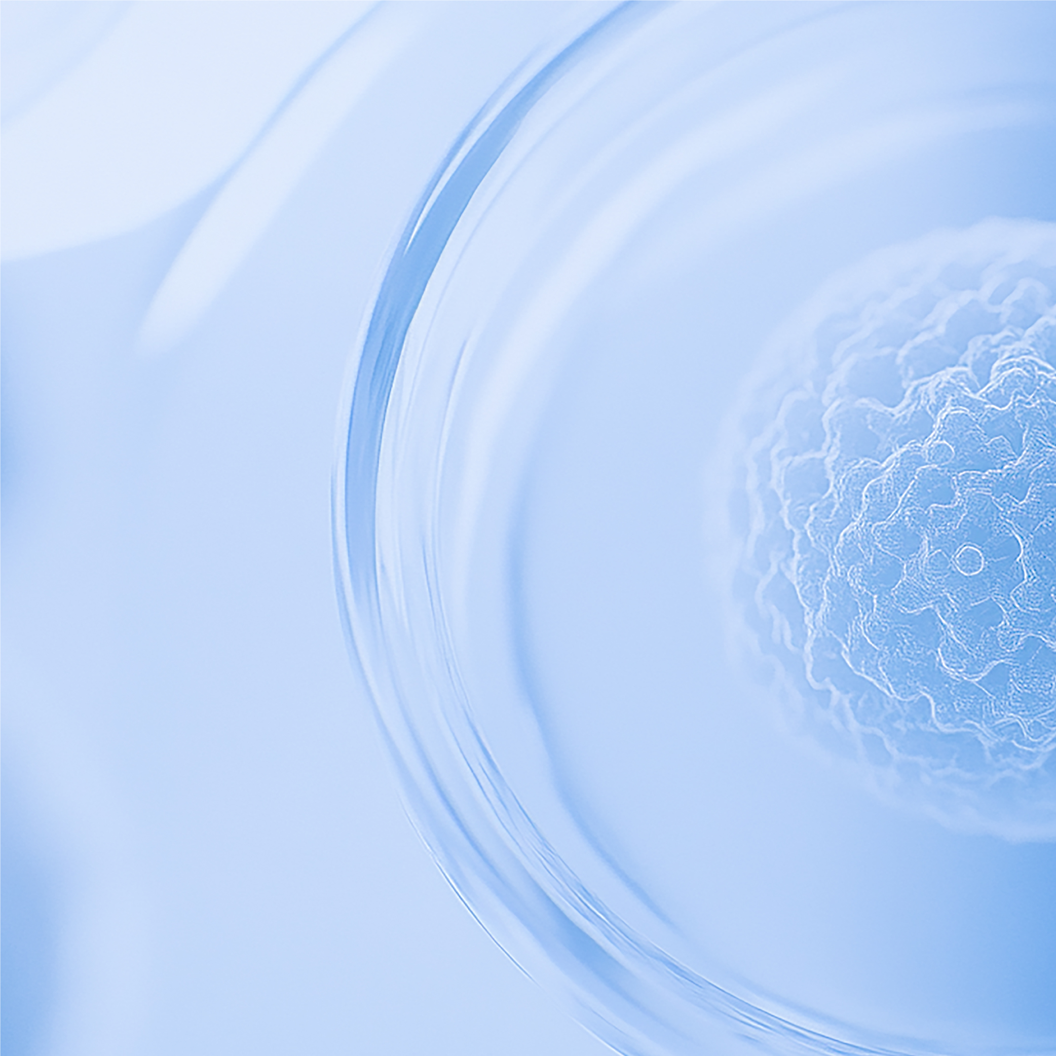 YFBeads™CD56分选磁珠