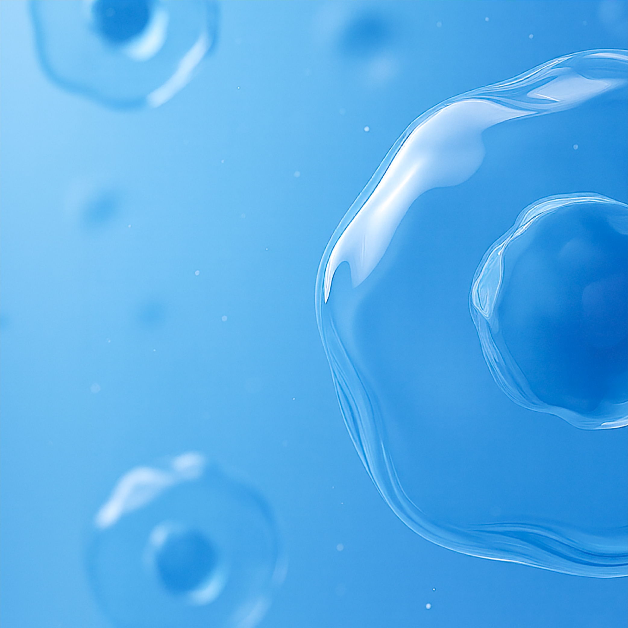 YFBeads™TCRαβ分选磁珠